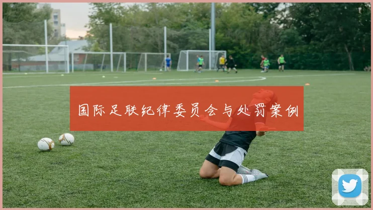 国际足联纪律委员会与处罚案例