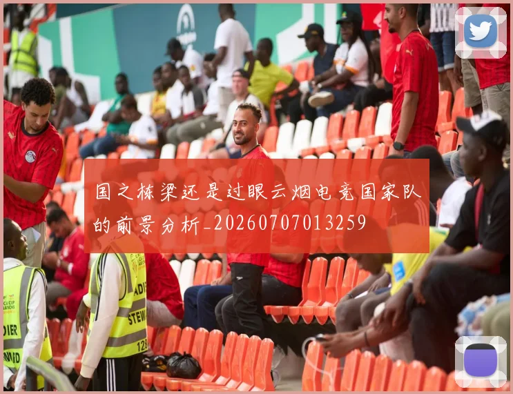 国之栋梁还是过眼云烟电竞国家队的前景分析_20260707013259