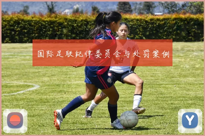国际足联纪律委员会与处罚案例