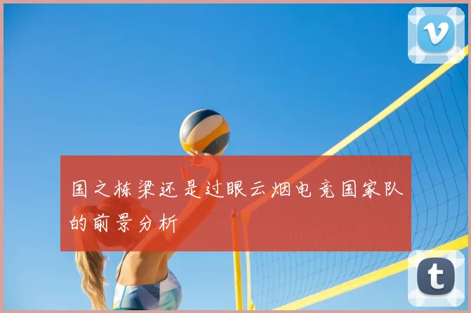 国之栋梁还是过眼云烟电竞国家队的前景分析